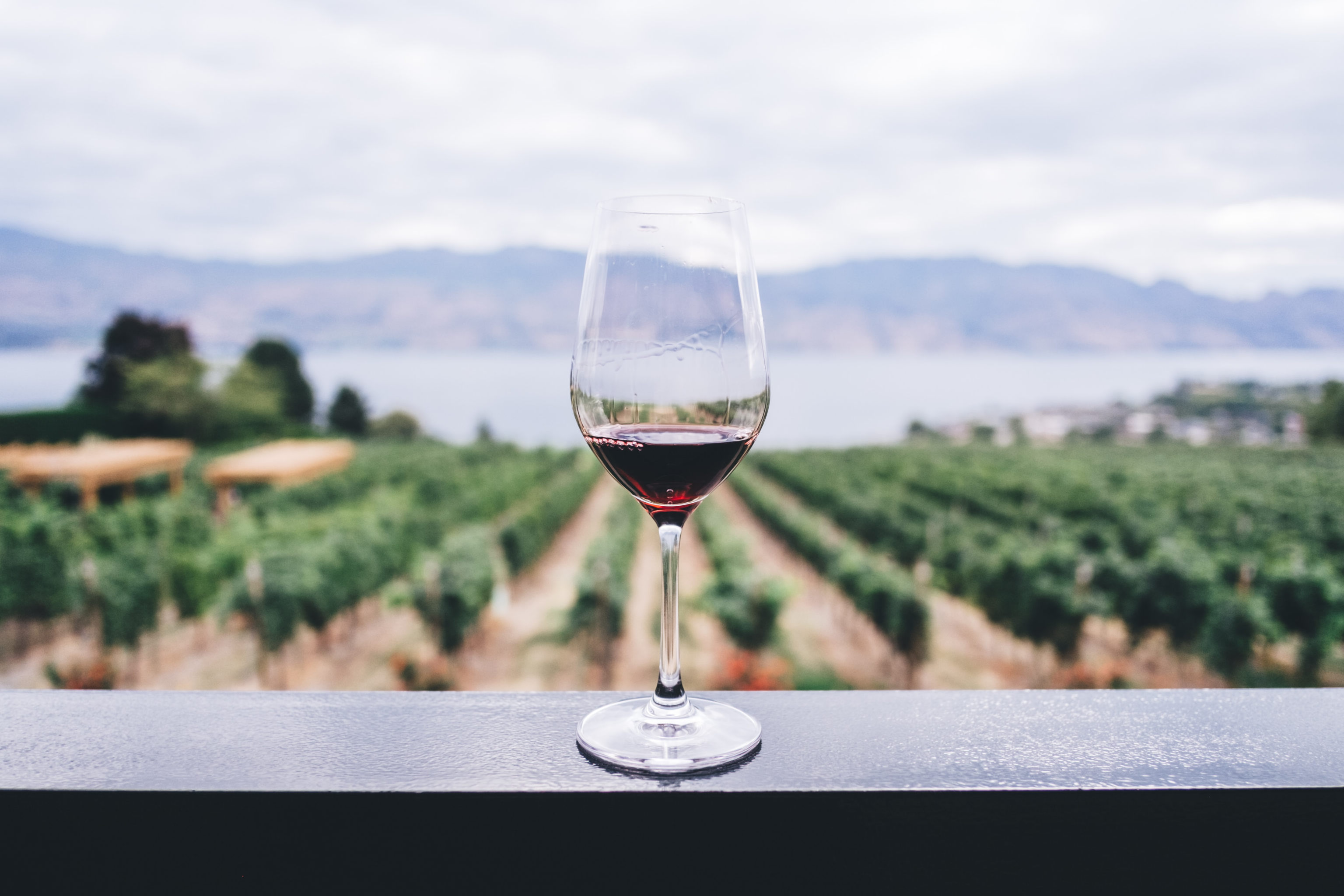 Winery from Unsplash